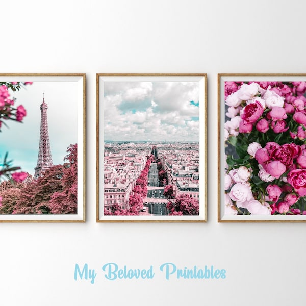 Romantic Pink Paris Prints Set of 3 Eiffel Tower Pink Flowers Wall Art College Dorm Decor Large Travel Poster