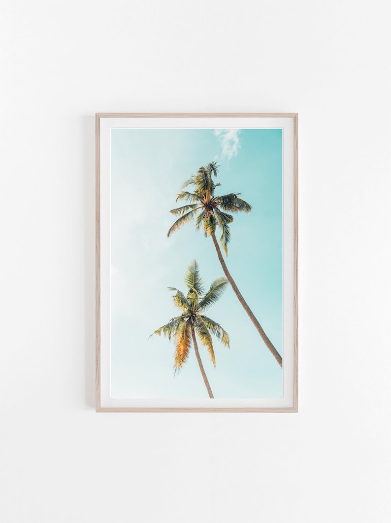 Palm Trees Print Ocean Photo Print Miami Florida Photography - Etsy