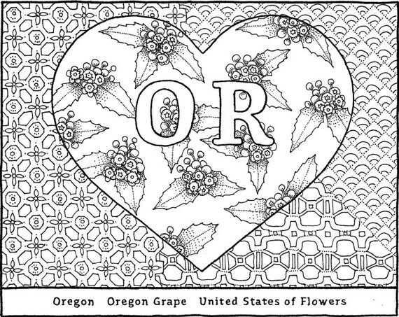 Oregon State Flower Coloring Page Instant PDF Download | Etsy