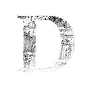 Descarga instantánea / Impresión digital Letra "D" / Monograma / Ilustración / Alfabeto / Aliteración