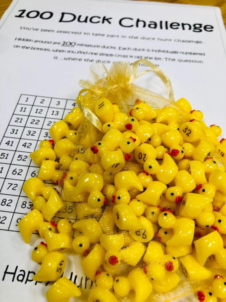 May include: A collection of small, yellow plastic duck figurines with red beaks and black eyes, some numbered, spilling from a gold mesh bag. The ducks are part of a "100 Duck Challenge" game, with a printed sheet featuring a grid and instructions.