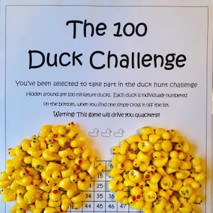 May include: A game called "The 100 Duck Challenge" with text and a pile of yellow rubber duckies. The text says to find 100 numbered miniature ducks and cross them off a list. The ducks are yellow with orange beaks.