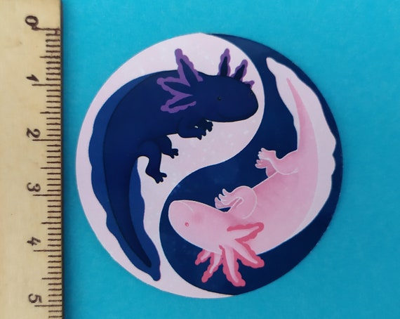 Hong yang aquarium sales n pets accessories