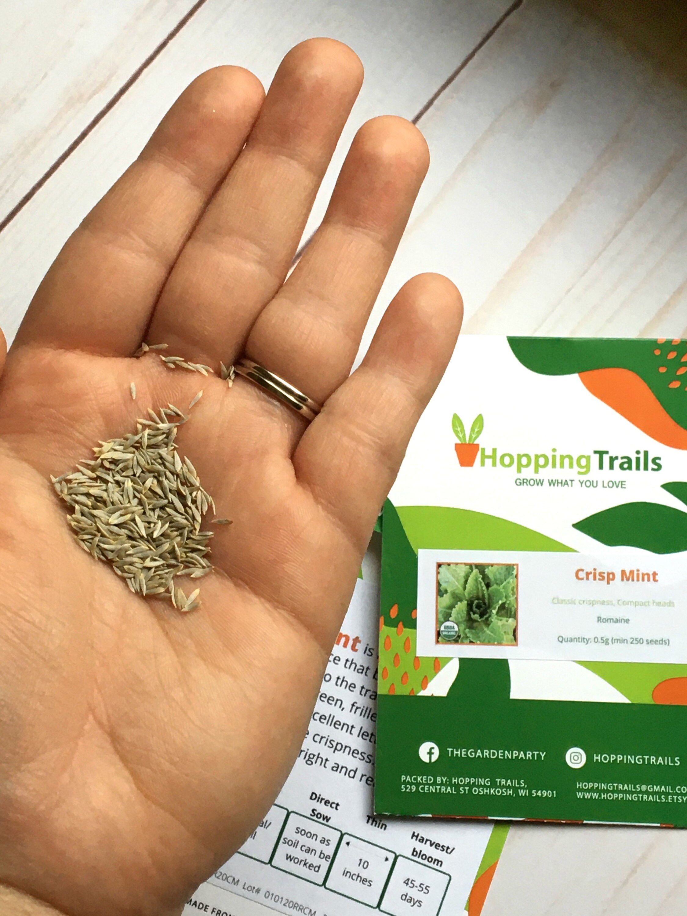 Crisp Mint Heirloom Romaine Lettuce Seeds/ USDA Certified Etsy