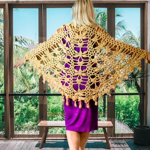 Dragonflies in Flight Crochet Shawl Pattern