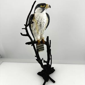 May include: A falcon figurine with black, white, and brown plumage perched on a dark, textured branch. The bird has a sharp, hooked beak, yellow eyes, and a white chest with dark speckles. The tail feathers are striped in gray and black tones.