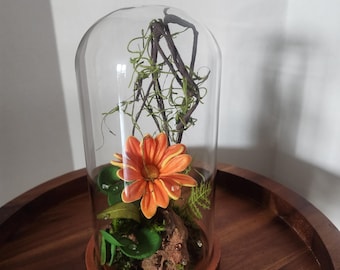 May include: A decorative glass cloche with a wooden base, showcasing an orange flower, greenery, and a small piece of wood. The arrangement is enclosed under a clear glass dome, creating a miniature terrarium-like display. The cloche sits on a wooden tray.