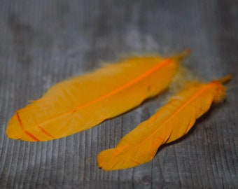 10 Natural Duck Feathers Loose Feathers Orange Feathers Wedding Decor Wedding Feathers Orange Feathers, Large Feathers, Hat Making, Bouquet