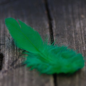 50pics Soft Dark Green Real Feathers Small Natural Feathers Wedding Decorative Feathers Wedding Bouquet Feathers Boho Craft Supply image 5