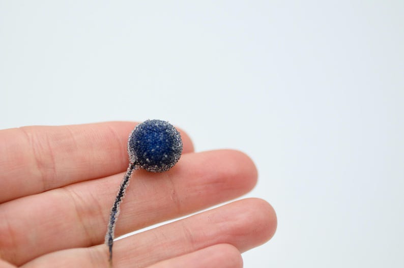 May include: A single, dark blue, frosted berry with a thin stem on a person's hand.