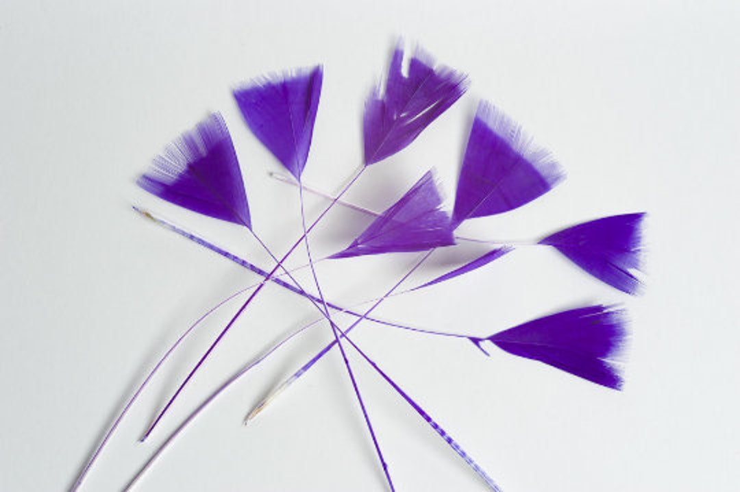 Purple Feathers, Natural Feathers Triangle Shape, Small Feathers, Craft ...