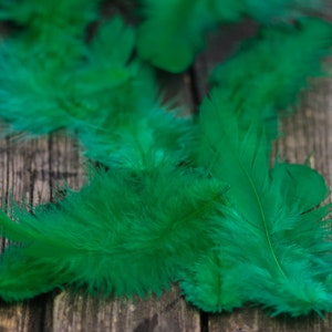 50pics Soft Dark Green Real Feathers Small Natural Feathers Wedding Decorative Feathers Wedding Bouquet Feathers Boho Craft Supply image 7