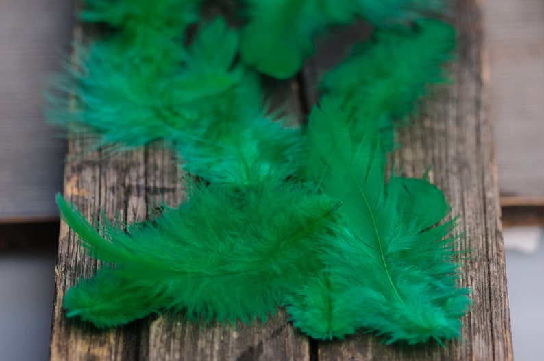 50pics Soft Dark Green Real Feathers Small Natural Feathers Wedding Decorative Feathers Wedding Bouquet Feathers Boho Craft Supply image 7