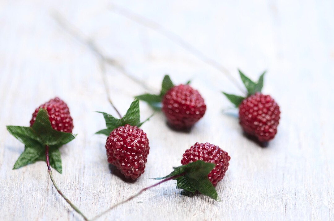 Artificial Raspberry Fruit, Fake Fruit, Wreaths Making Supplies, Autumn ...
