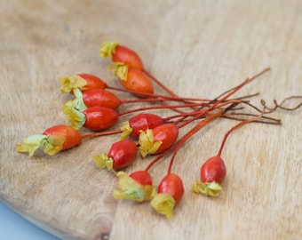 Faux Rosehip Fruit bunch of 12, Faux Autumn Fruit Craft Supplies, Fall Berry, Farmhouse Decor, Red Orange Rustic Autumn Decor, Faux Fruit