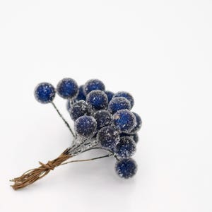 May include: A bunch of blue frosted berries with brown wire stems. The berries are clustered together and have a frosted, sparkly finish.