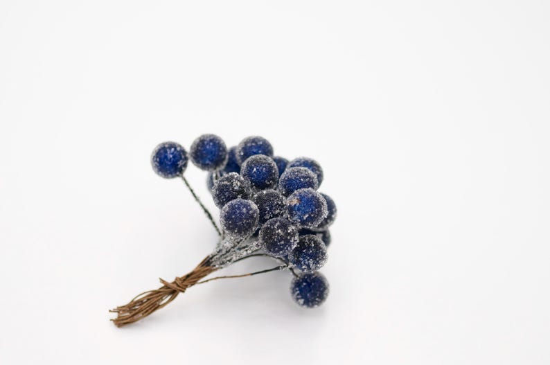 May include: A bunch of blue frosted berries with brown wire stems. The berries are clustered together and have a frosted, sparkly finish.