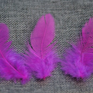 Dunklen Neon Pink Federn Böhmische Hochzeit Dekoration natürlichen gefärbten Federn dunkel rosa Hochzeit Dekor Idee DIY Hochzeit kleine Girlande Federn