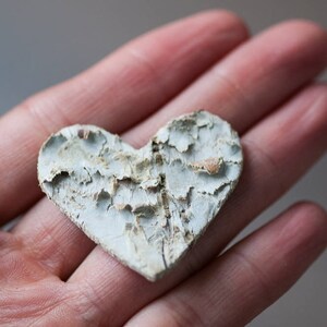 May include: A heart-shaped piece of wood with a white and gray bark texture. The wood is weathered and has a rustic look.