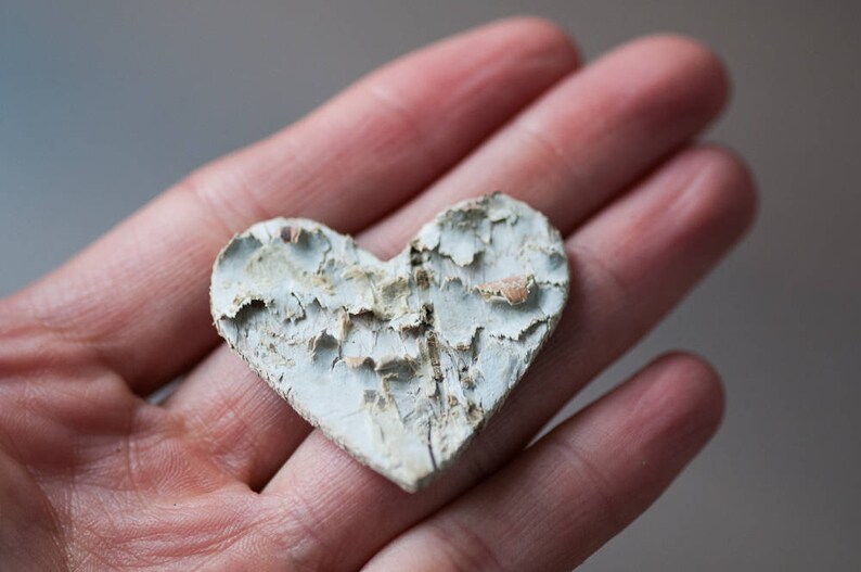 May include: A heart-shaped piece of wood with a white and gray bark texture. The wood is weathered and has a rustic look.