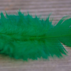 50pics Soft Dark Green Real Feathers Small Natural Feathers Wedding Decorative Feathers Wedding Bouquet Feathers Boho Craft Supply image 10
