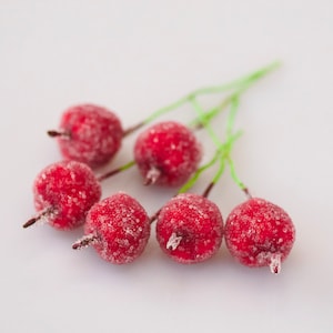 2cm roter Weihnachtszuckerapfel, künstlicher Obstdekor, Weihnachtsapfelschmuck, Weihnachtsobst, Weihnachtsrotfrüchte, künstliche Äpfel, rotes Handwerksobst