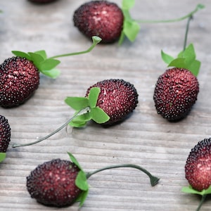 12pics Large Berries Fake Fruit, 3cm Craft Raspberries, Artificial Berries, Housewarming Berries, Berries with leaf, Autumn Berries Decor