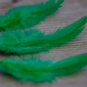 50pics Soft Dark Green Real Feathers Small Natural Feathers Wedding Decorative Feathers Wedding Bouquet Feathers Boho Craft Supply image 3