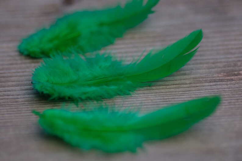 50pics Soft Dark Green Real Feathers Small Natural Feathers Wedding Decorative Feathers Wedding Bouquet Feathers Boho Craft Supply image 3