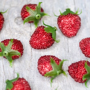 Large Strawberries Fake Fruit 4cm, 18pics Red Strawberry Artificial Fruit, Kitchen Home Decor, Plastic Fruit, Wreath Fruit, Bouquet Fruit