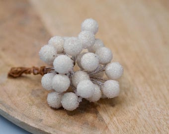 24 pics Off White sugar coated faux berries, Decorative Fall Berries, Fall Decorations, Fall Home Decor, Wreath Components, Autumn Craft