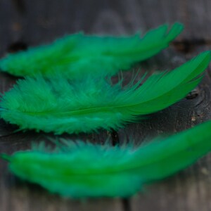 50pics Soft Dark Green Real Feathers Small Natural Feathers Wedding Decorative Feathers Wedding Bouquet Feathers Boho Craft Supply image 2