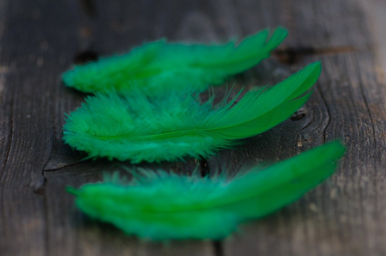 50pics Soft Dark Green Real Feathers Small Natural Feathers Wedding Decorative Feathers Wedding Bouquet Feathers Boho Craft Supply image 2