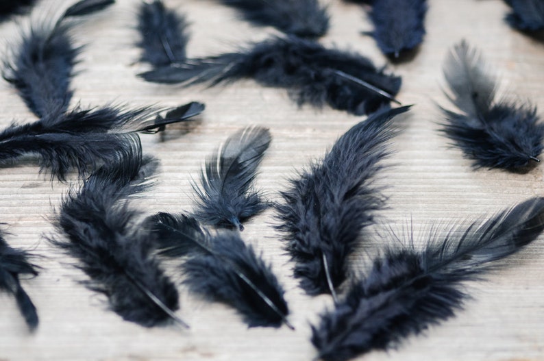 Black Feathers 50pics Small Natural Fluffy Feathers Craft Etsy