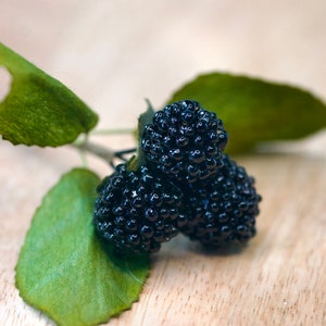 Faux Blackberries 2 bunches of 3, Faux Berry, Wreath Making Supplies, Autumn Findings, Autumn Decor, Fall Bouquets Findings, Faux Fruit