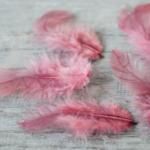 Schmutzige Rosa Federn Kleine Bastelfedern Hochzeit DekorationEn Hutherstellung Lieferung Pastell Rosa Federn Frühling Kranz Komponenten Party Dekor
