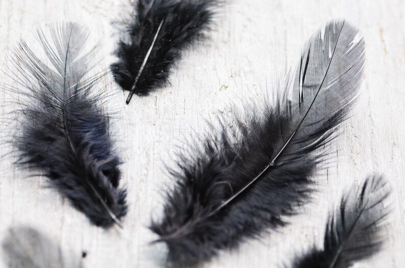 Black Feathers 50pics Small Natural Fluffy Feathers Craft Etsy