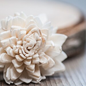 4cm Large Sola Zinnia Flowers Ivory Wedding Flowers Wedding Bouquet Flowers Chorki Sola Flowers DIY Wedding Decor, Floristic Supplies