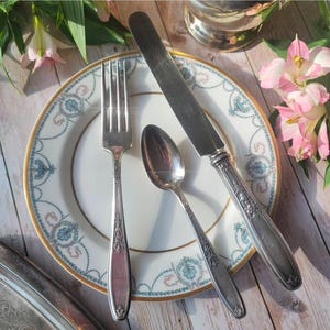 Rogers Bros Silverplate – Modelo Ambassador (Juego de 4 piezas para una persona)