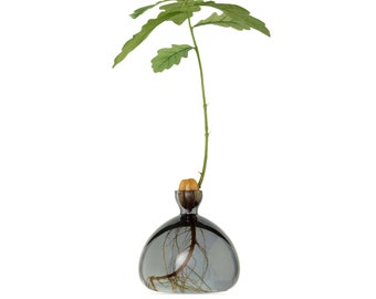 Acorn Vase® Smoke Grey