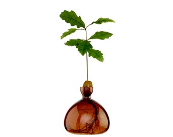 Florero Bellota® Marrón Rojizo