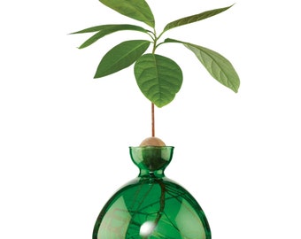 Avocado Vase® Emerald Green