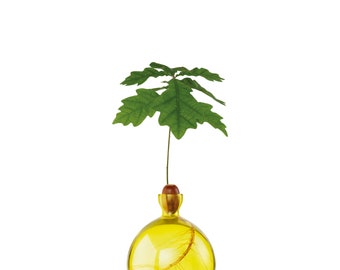 Acorn Vase® Sunlight Yellow