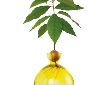 Avocado Vase® Sunlight Yellow