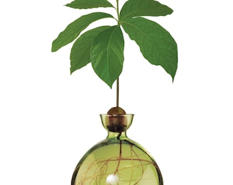 Avocado Vase® Grass Green