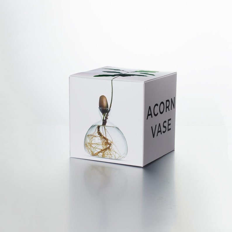 Acorn Vase® Clear image 3