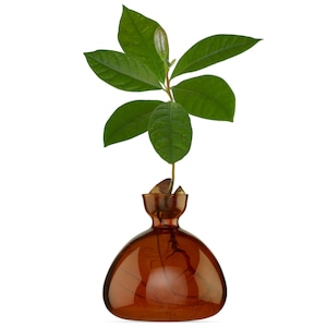 Avocado Vase® Russet Brown
