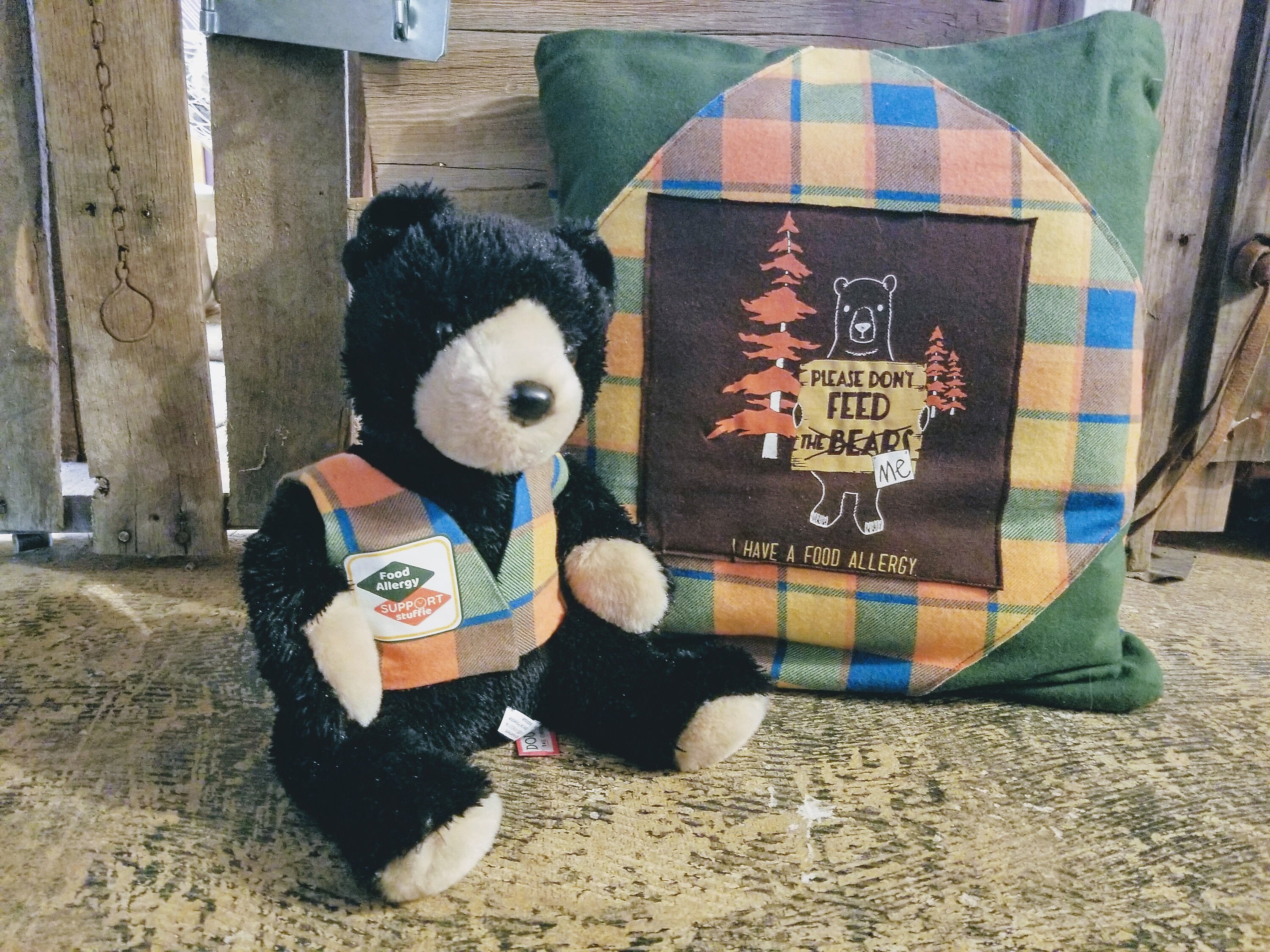 My Food Allergy Bear Quillow and Bear Support Stuffie Pillow Etsy