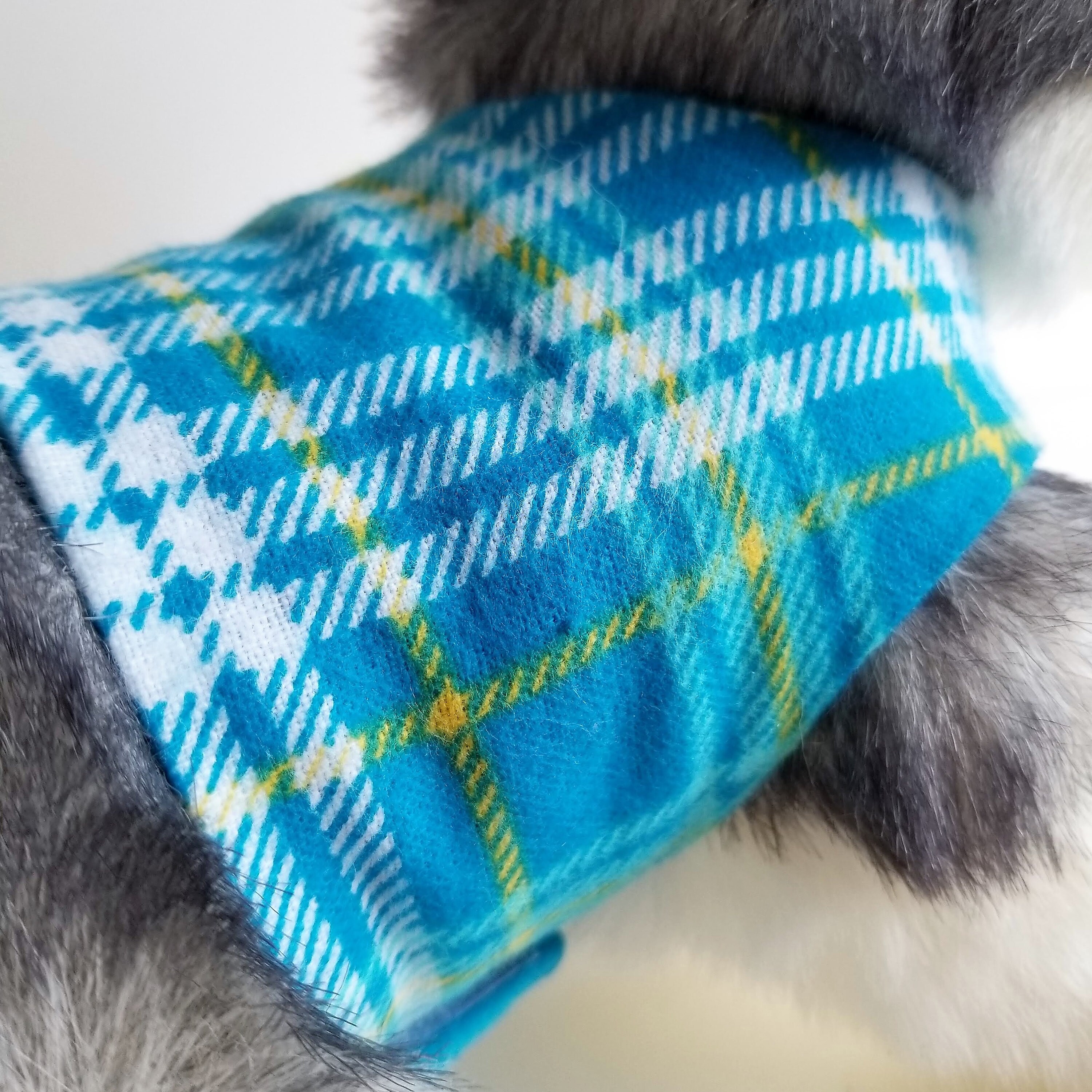 The Joyful Husky: Overcoming Challenges With Down Syndrome - 5z1x1iw