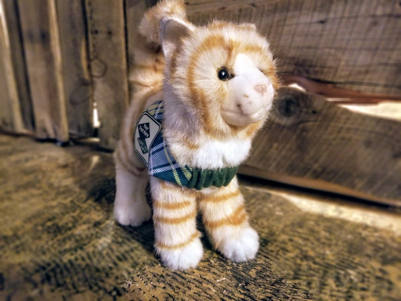 My Down Syndrome Orange Tabby Cat Support Stuffie Etsy